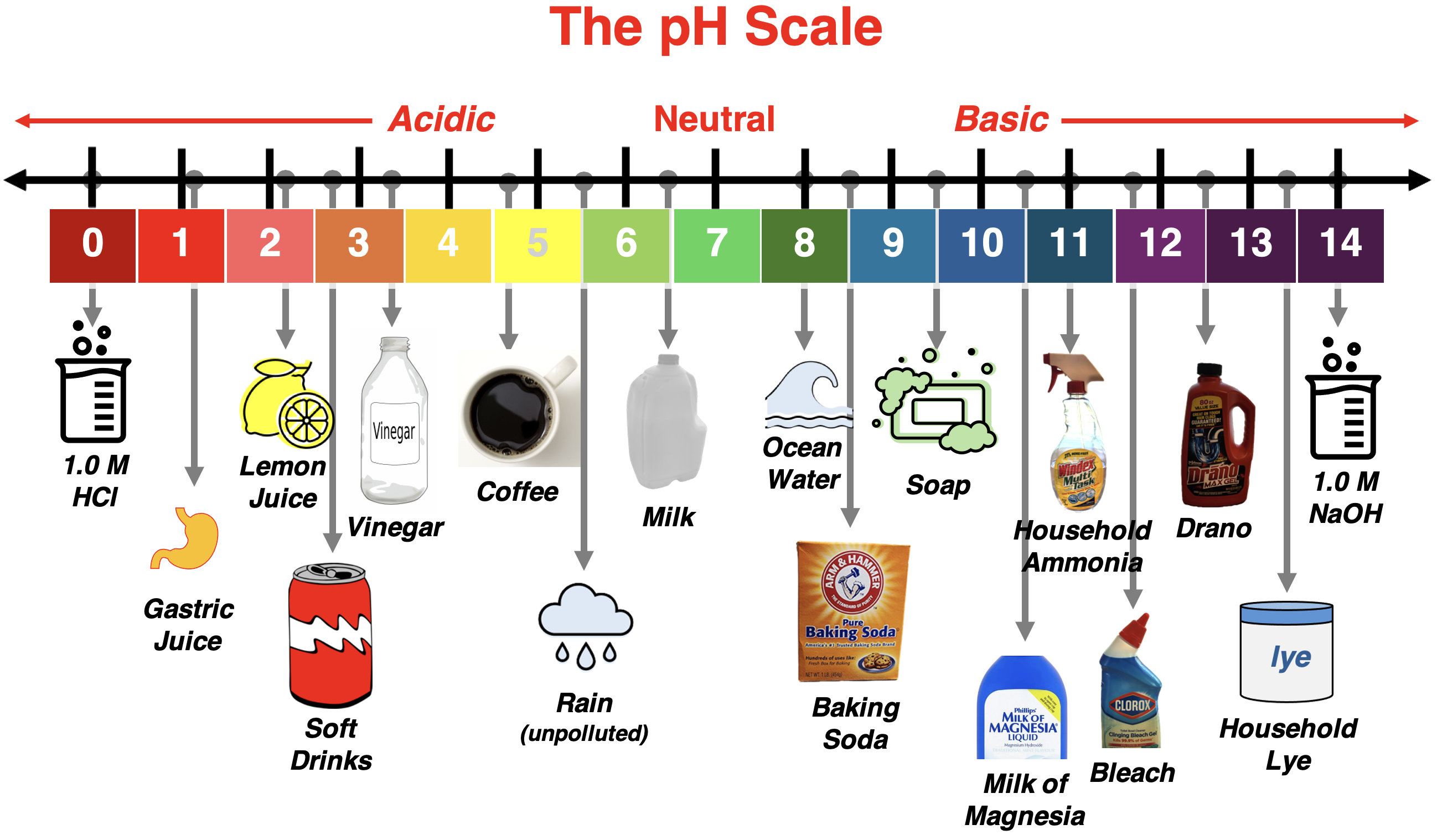 pH Scale with 18 everyday substances listed along the scale.