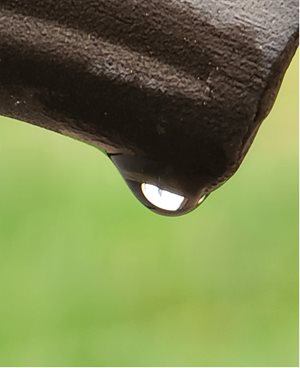 A spherical water droplet on a piece of wood.