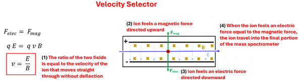 A diagram of the velocity selector, there are both magnetic fields putting a force upwards, and electric forces downwards, and as a particle goes from one end to the other, only if the velocity is such as the upwards and downwards forces equal out (so no net force) do they make it through the tiny opening at the other end.