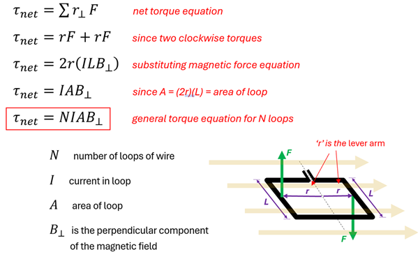 A picture of showing how to get the net torque (T net) equation. The equation is ultimately T-Net (net Torque) = Number of Loops of wire (N) times Current in Loop (I) times Area of Loop (A) times the Perpendicular Magnetic field (B).