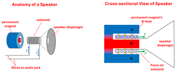 A diagram of a speaker, with a circular permanent magnet (south on the outer ring and a norther inner ring with a gap between), a solenoid that sits inside of that gap with a current carrying wire, attached to a speaker diaphragm. In a cross sectional the solenoid experiences the same direction on both sides since the magnetic field and current are in different directions, resulting in a greater net force either away or towards the magnet depending on current direction.
