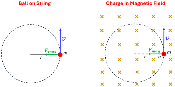 A comparison of a ball on a string that has a perpendicular force upwards, resulting in a circular path, and a Charge in a Magnetic field, exhibiting the same perpendicular force that causes it also to follow a circular path.