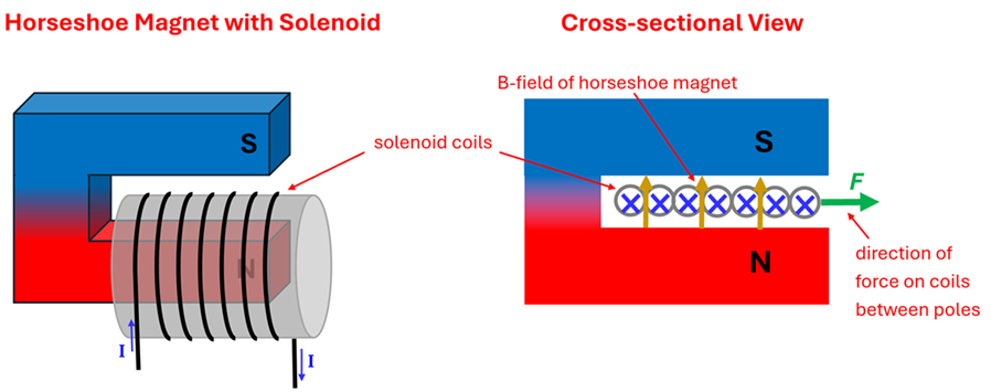 A horseshoe magnet with the ends facing to the right (south on top, north on bottom), with a solenoid wrapping around the bottom north pole (with current and wrapping starting on the left, wrapping clockwise when looking from the right, ending at the end of the north magnetic pole). A cross section is given showing the wire and magnetic fields, resulting in a force to the right when current is flowing.
