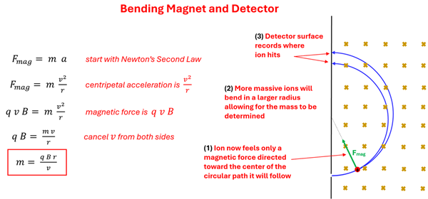 Diagram showing the Bending Magnetic detector, where the positive particle moving to the right through the magnetic field bends in an arc and hits the detector back plate.  The equation of Force of Magnetic field = mass time acceleration, which acceleration is replaced with velocity squared over radius, and Force of magnetic field is replaced by q v B, one velocity is cancelled out and terms moved around to get mass = q B r over v (or mass (m) equals the particle charge (q) times the perpendicular Magnetic Field (B) times the radius (r) over the velocity (v).