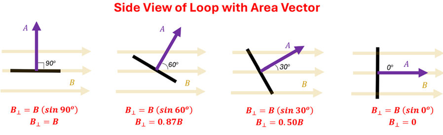 4 images showing the Magnetic field strengths as the plane rotates about the axis. At 90 degrees (perfectly perpendicular to the magnetic field), the B perpendicular value is B times Sin 90 which is B. As the plane rotates, the sine value changes, decreasing the B value (0.87 B at 60 degrees, 0.5 B at 30 degrees, and 0 B at 0 degrees)