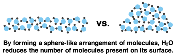Two contrasting pictures: 1) Two rows of water molecules spread out over a large area. 2) The same number of molecules spread into a bead with less molecules occupying its exterior surface.