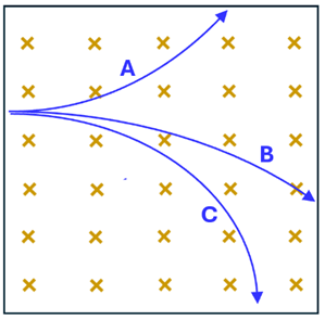 An image showing 3 particles (A B and C) that moved to the right through the magnetic field that is going into the page (represented by x's). A's path bends upwards, B and C bend downward.