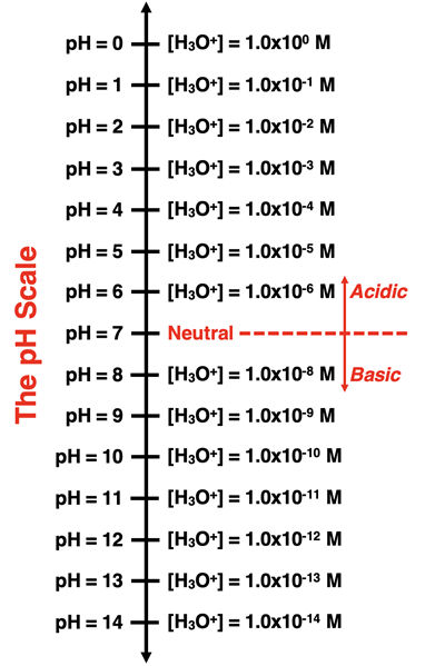 pH Scale with hydronium ion concentrations.