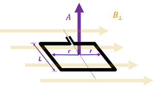 An image showing a magnetic field going to the right marked B sub perpendicular. A loop of wire is shown aligning itself with the magnetic field (laying 'flat'), with the Area shown as the L length and the radius twice (width), with an area vector A pointing upwards (perpendicular to the entire area)