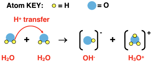 Chemical equation and particle diagram representing water’s self-ionization.