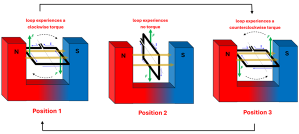 A diagram of 3 positions of the Wire Coil with a constant current direction. Position 1 shows it perpendicular to the North/South poles and gets a clockwise torque. Position 2 the wire will experience forces in all outwards directions, resulting in no torque force. Position 3 will show a counter clockwise torque force, which will try to send it back to position 2 instead of continuing rotation.