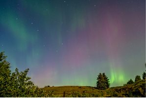 Picture of the Aurora Borealis over a grassy field.