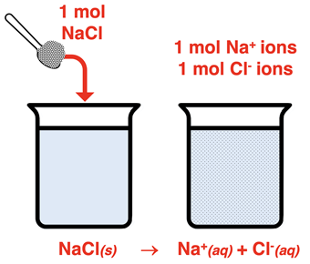 A simple model for soluble salts illustrating that the dissociation process goes to completion.
